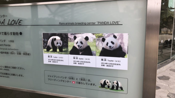 和歌山アドベンチャーワールドへ行ってみて気づいた 当日楽しむため行く前にするべき6つのこと 21年ver ゆるゆる関西旅ログ