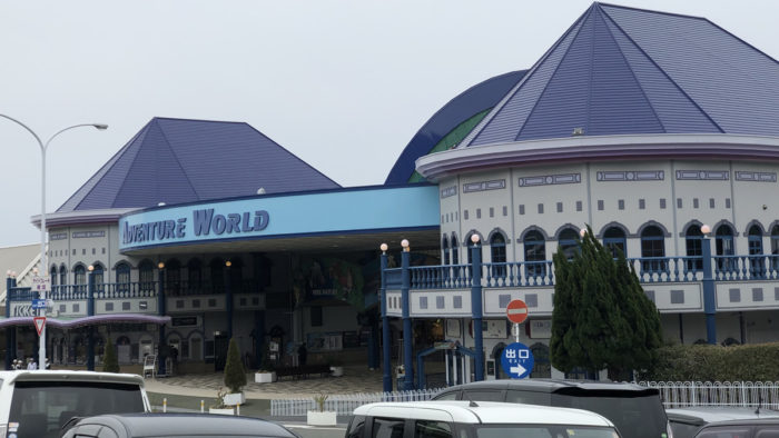 和歌山アドベンチャーワールドへ行ってみて気づいた。当日楽しむため行く前にするべき6つのこと【2022年ver】