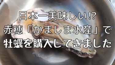 日本一美味しい⁉赤穂「かましま水産」で牡蠣を購入してきました