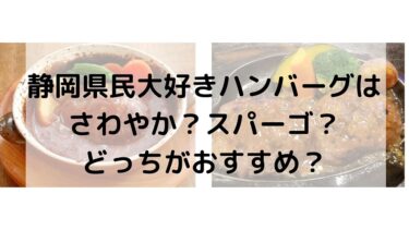 静岡県民大好きハンバーグはさわやか？スパーゴ？どっちがおすすめ？