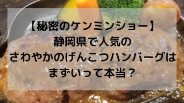 【秘密のケンミンショー】静岡県で人気のさわやかのげんこつハンバーグはまずいって本当？